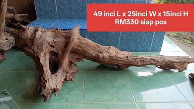 Driftwood kayu besar untuk aquarium kolam landscap