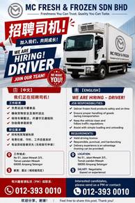Lorry Driver