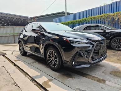 Lexus NX 250 LUXURY in Sungai Besi, KUL