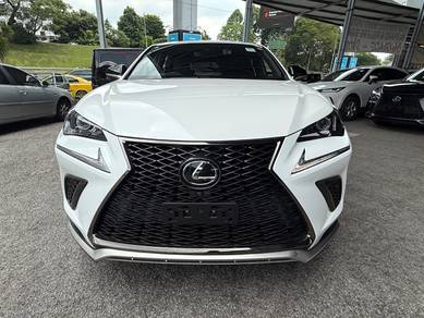 2021 Lexus NX 300 F SPORT