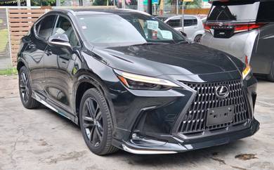 2023 Lexus NX 250 LUXURY