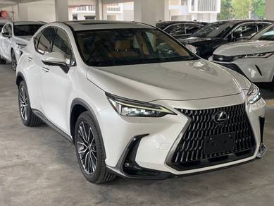 Lexus NX 250 LUXURY in Desa Petaling, KUL