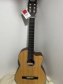 Classical Guitar (Scorpion Sc100)