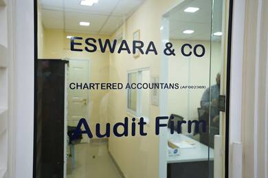 Senior Audit Executive