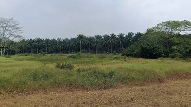 Agricultural Land in Senai, JHR