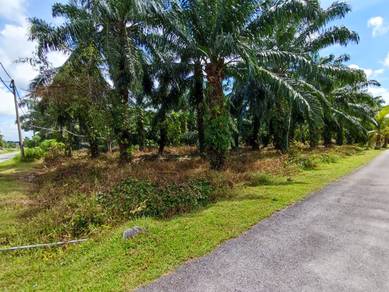 Agricultural Land in Pulau Indah (Pulau Lumut), SGR