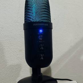 Rayhayes USB Mic