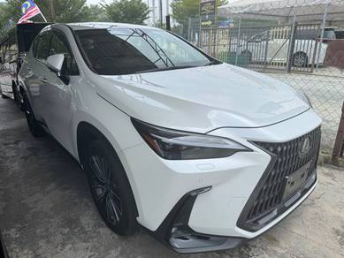 2023 Lexus NX 250 LUXURY