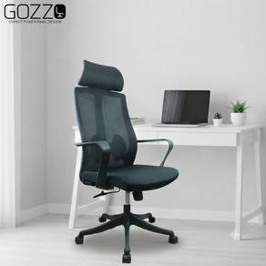 Ergonomic Executive Desk Chair | MESHGO2-0121