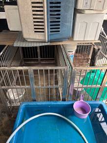 Stainless dog cage