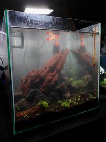 aquarium set for sell with fishes 
