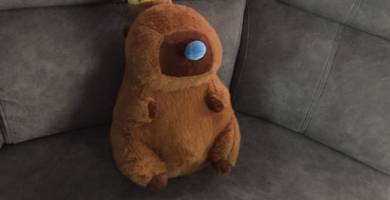 capybara medium size
