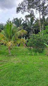Agricultural Land in Lenggeng, NSN