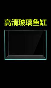 五面高清缸体 Crystal Clear Fish Tank 250*160*180mm