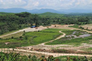 Agricultural Land in Jelebu, NSN