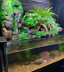 Aquascape hidden waterfall 50cm tank