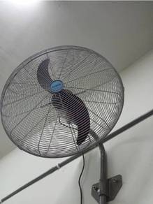 fan