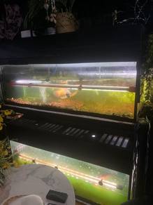 ikan dengan aquarium 4 kaki full set 