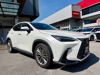Lexus NX 250 LUXURY in Glenmarie, SGR