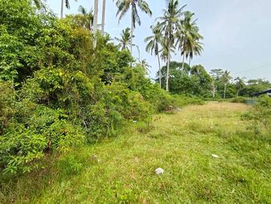 Agricultural Land in Pekan, PHG
