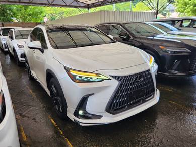 Lexus NX 250 LUXURY in Cheras, KUL