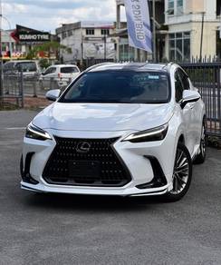 Lexus NX 250 LUXURY in Kuching, SWK