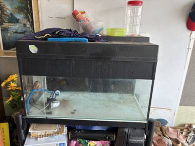 Aquarium 3’ dan 4’