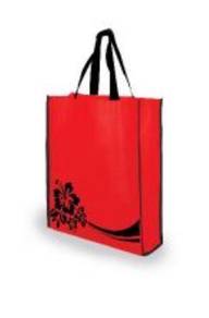 Beg Non Woven NWB039