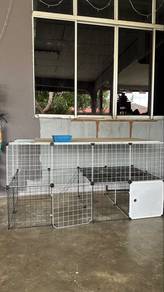 Sangkar Kucing Diy