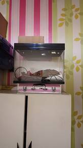 fish tank