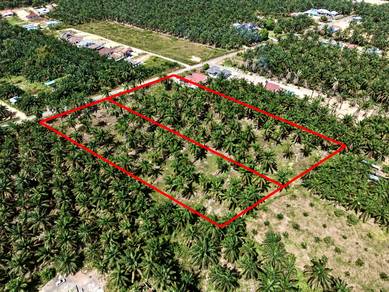 Agricultural Land in Parit Raja, JHR