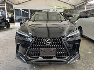 2023 Lexus NX 250 LUXURY