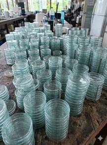 Piring Petri 90mm (9cm) 