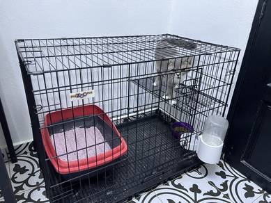 sangkar kucing