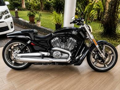 Harley-Davidson V-Rod Muscle