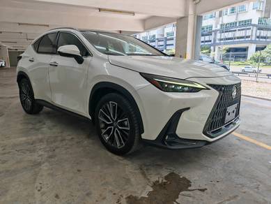 Lexus NX 250 LUXURY in Chan Sow Lin, KUL