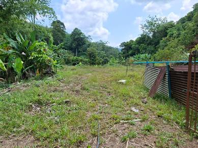 Agricultural Land in Johol, NSN