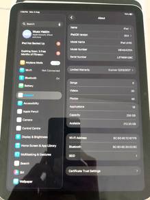 Ipad Apple