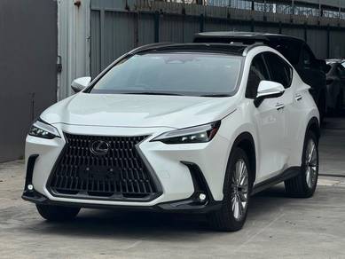 Lexus NX 250 LUXURY in Petaling Jaya, SGR