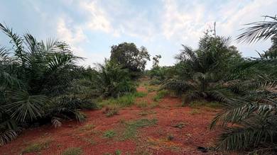 Others Land in Segamat, JHR