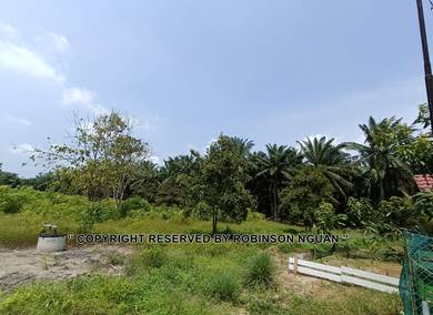 Agricultural Land in Merlimau, MLK