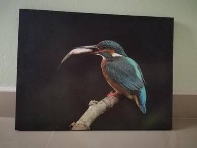 Framed Poster Bird