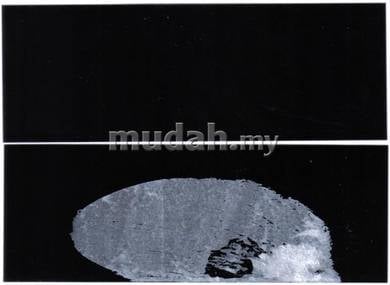 PRINZ Stamp Strip Mount Protector 34mmx128mm x 20