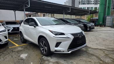 2021 Lexus NX 300 F SPORT