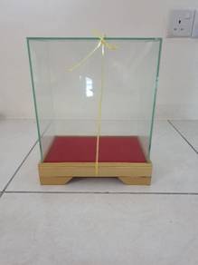 Glass Case Box (8"×5"×10")