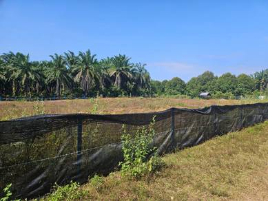 Agricultural Land in Gopeng, PRK