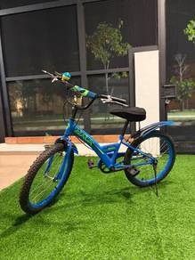 20 inch Bicycle (Kids)