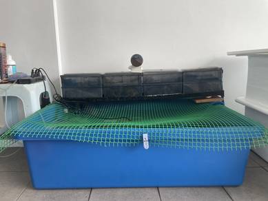 fish tank fiber 3 feet