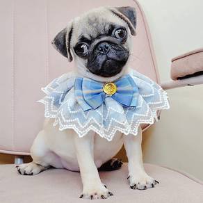 Pug