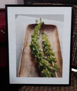 Pic Frame - 16 x 20 Inches